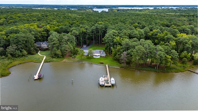 aerial view with a water view and a view of trees