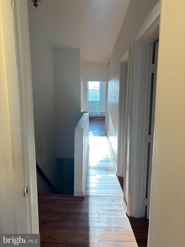 hallway featuring dark hardwood / wood-style flooring