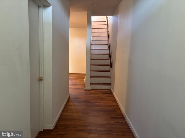 hall with dark wood-type flooring