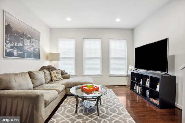 living room with dark hardwood / wood-style flooring and a wealth of natural light