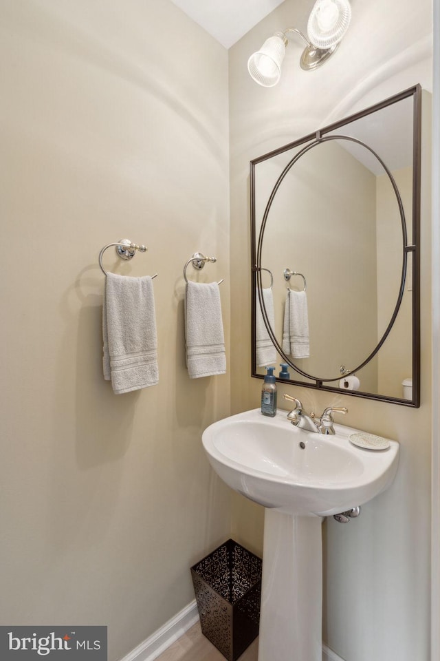 bathroom featuring wood-type flooring