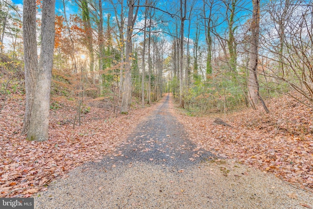 view of road