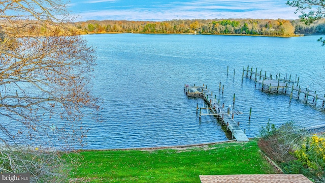 dock area with a water view