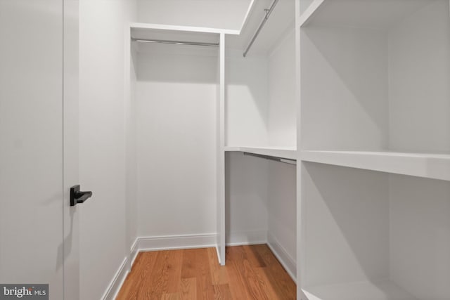 walk in closet with hardwood / wood-style flooring