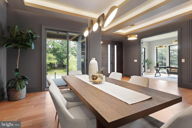 dining area with a healthy amount of sunlight, light hardwood / wood-style floors, and a tray ceiling