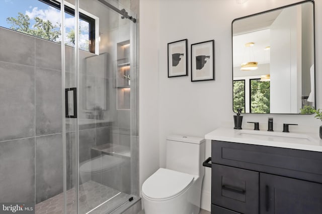 bathroom with a shower with door, vanity, a healthy amount of sunlight, and toilet