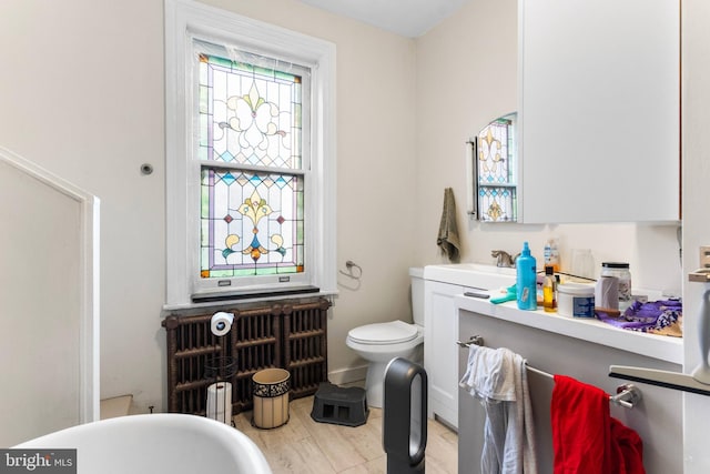 bathroom with wood finished floors, a freestanding tub, vanity, and toilet