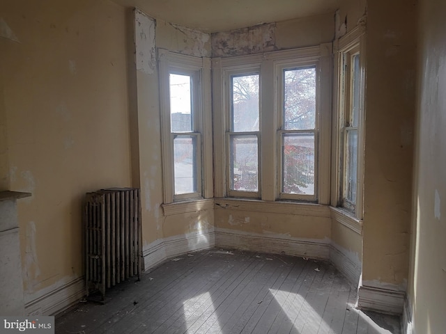 empty room featuring radiator heating unit and light hardwood / wood-style floors