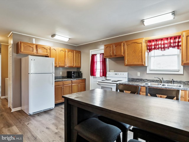 kitchen featuring white appliances, light hardwood / wood-style floors, a healthy amount of sunlight, and sink