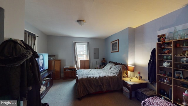 carpeted bedroom with electric panel