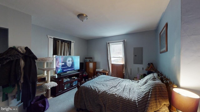 bedroom featuring carpet flooring and electric panel