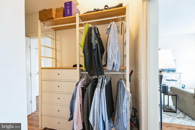 view of closet