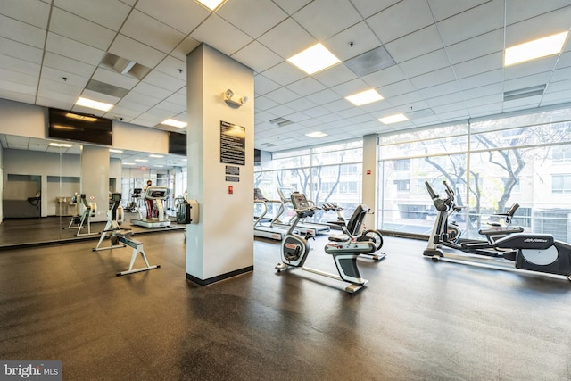 gym with a paneled ceiling, plenty of natural light, and floor to ceiling windows