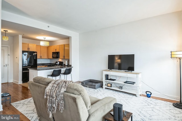 living room featuring dark hardwood / wood-style flooring