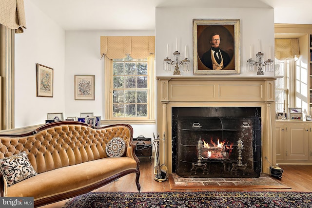 sitting room featuring wood-type flooring