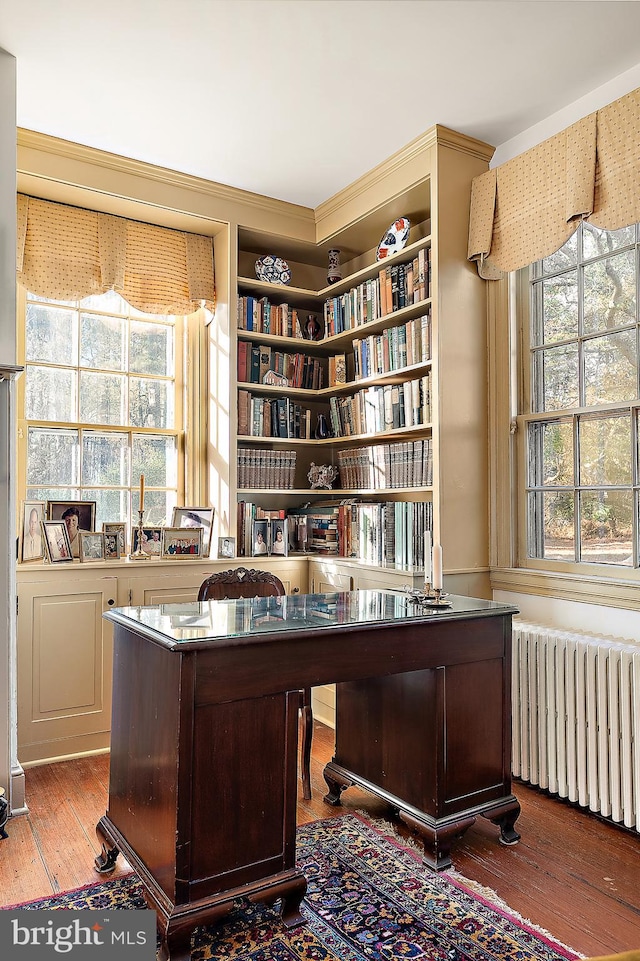 office featuring radiator heating unit and hardwood / wood-style floors