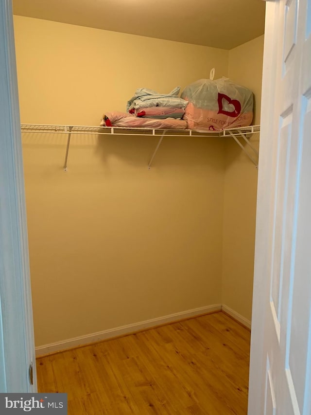 spacious closet featuring hardwood / wood-style flooring