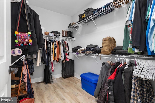 spacious closet with light wood-type flooring