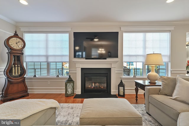 living room with hardwood / wood-style floors, crown molding, and a wealth of natural light