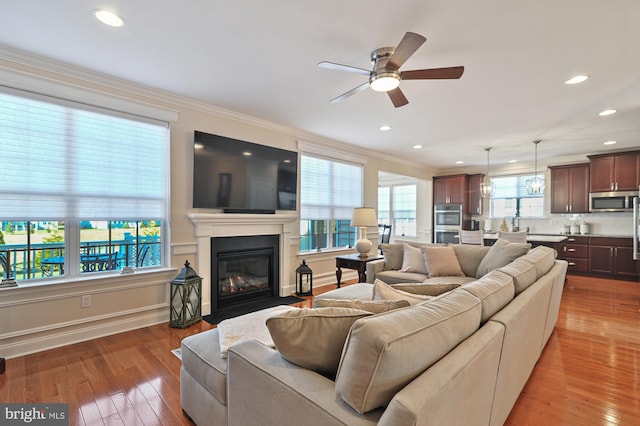 living room featuring ceiling fan, ornamental molding, and hardwood / wood-style flooring