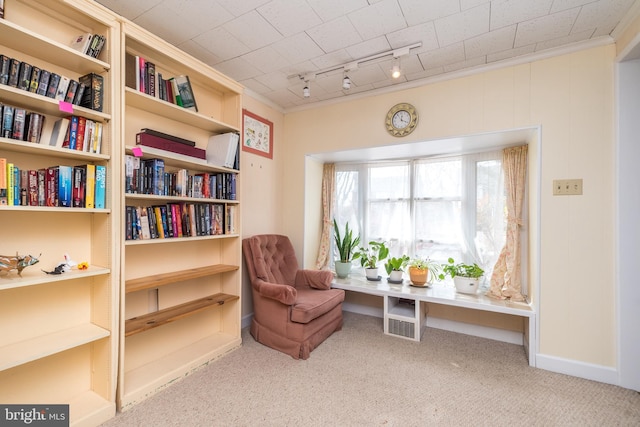 sitting room with carpet