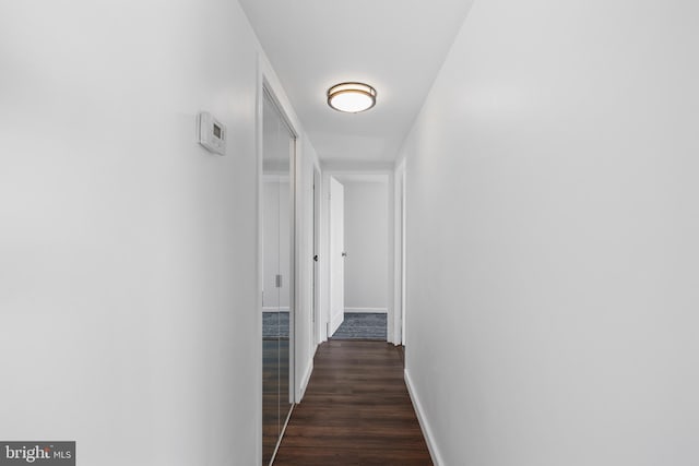 corridor with dark wood-type flooring