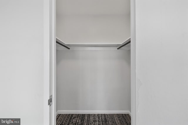 spacious closet with carpet flooring