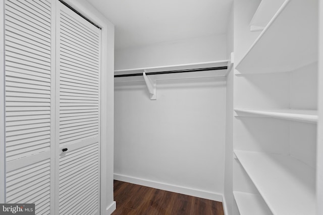 walk in closet with dark hardwood / wood-style flooring