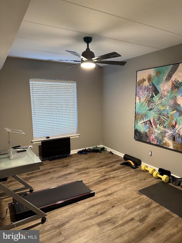 exercise area with ceiling fan and wood-type flooring