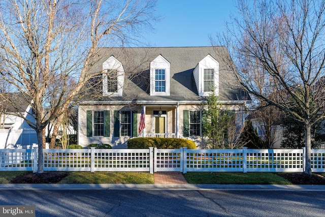 view of cape cod home