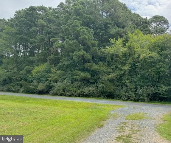 LOT227 Smugglers Way, Greenbackville, VA 23356 - view of dirt / gravel road with a view of trees