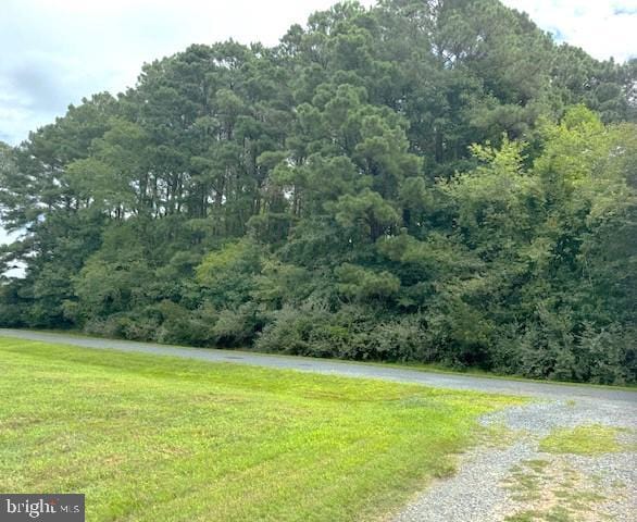 LOT227 Smugglers Way, Greenbackville, VA 23356 - view of road with a wooded view