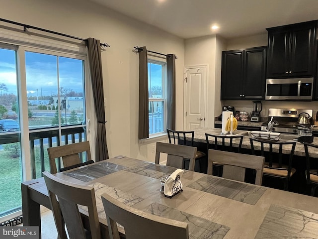 dining room with a wealth of natural light