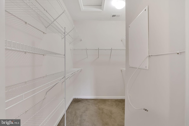 spacious closet featuring carpet