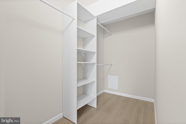 walk in closet with light wood-type flooring