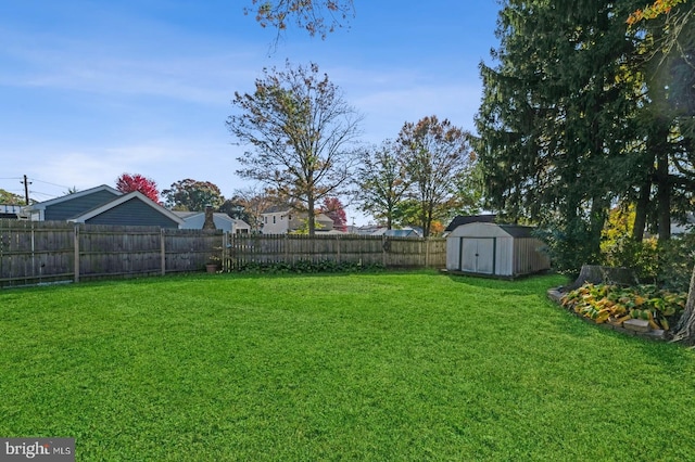 view of yard featuring a shed