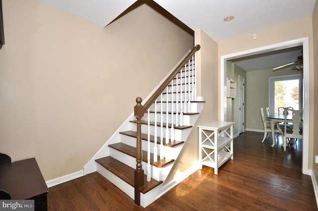 stairway featuring wood-type flooring and ceiling fan