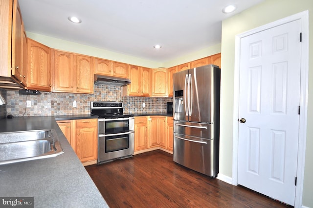 kitchen with dark hardwood / wood-style floors, sink, stainless steel appliances, and tasteful backsplash