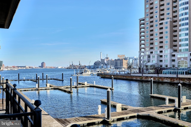 dock area with a water view