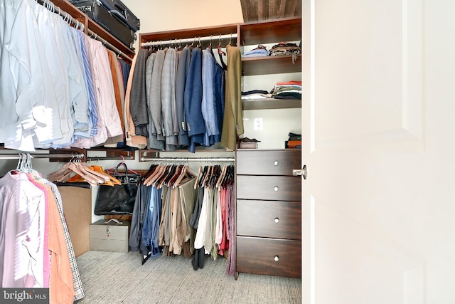 spacious closet featuring light carpet