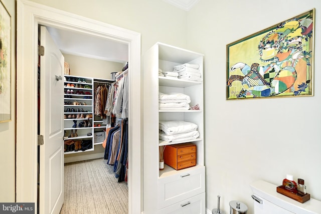 spacious closet with light carpet