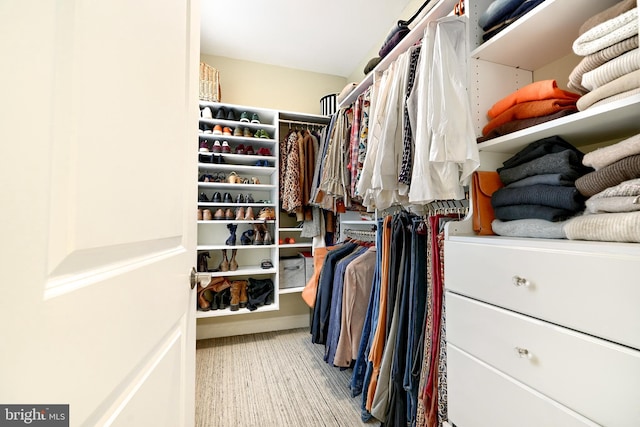 view of walk in closet