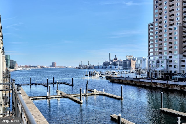 dock area with a water view