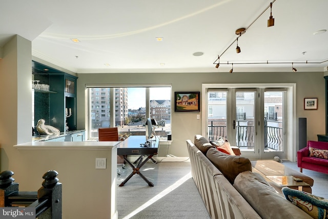 living room featuring ornamental molding, carpet, and rail lighting