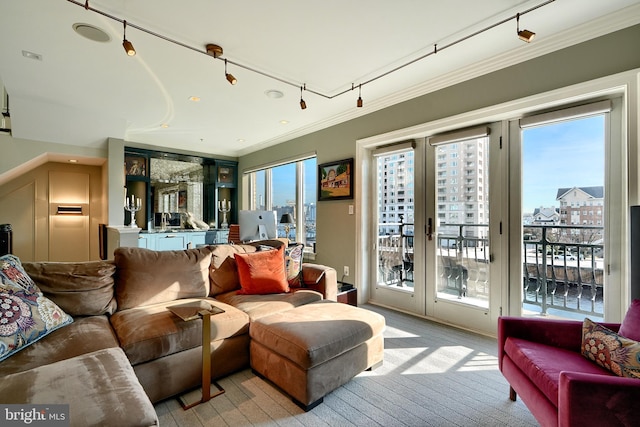 living room with ornamental molding and rail lighting