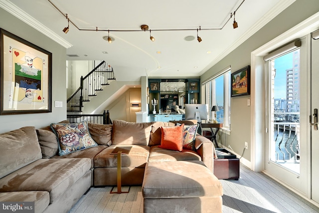 living room featuring crown molding, light hardwood / wood-style flooring, and rail lighting