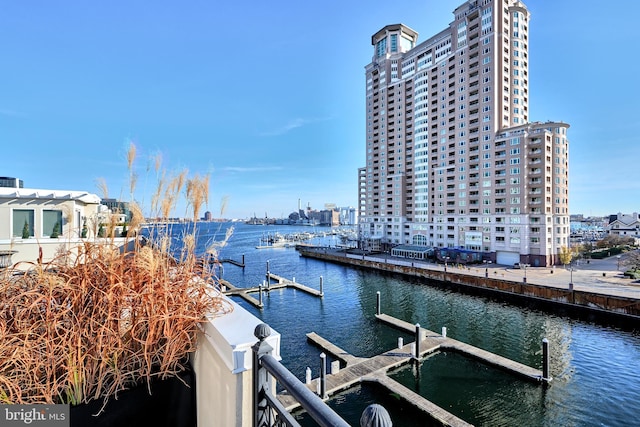 dock area with a water view