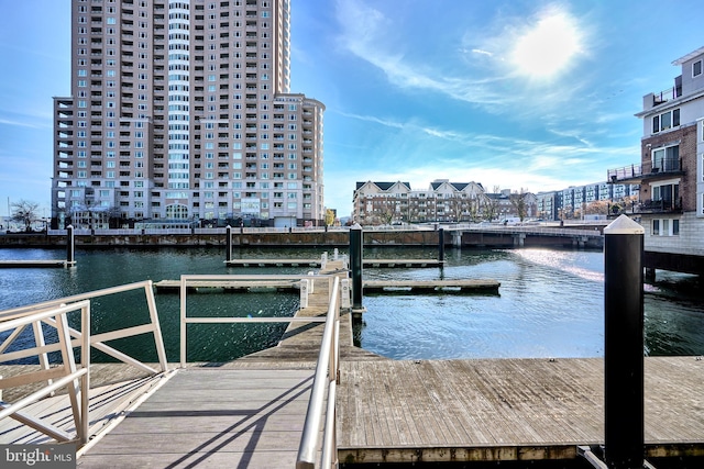 dock area with a water view