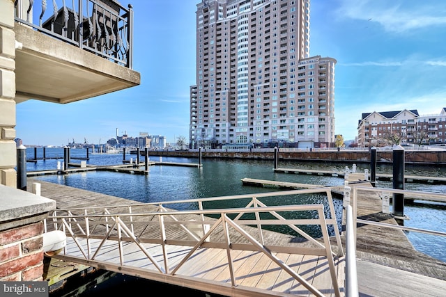 dock area with a water view