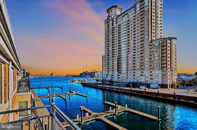 dock area with a water view